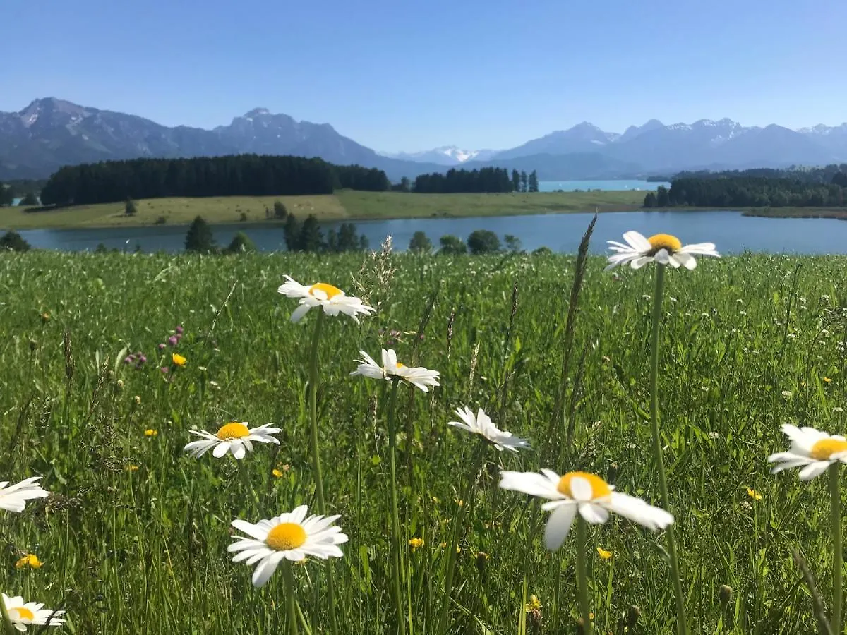 Ferienhaus Lieblingsplatz-Fuessen - Stilvoll Urlauben & Wohnen